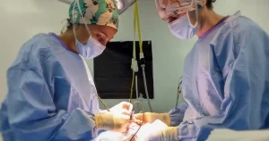 AURA Veterinary launches 2-year surgical oncology fellowship