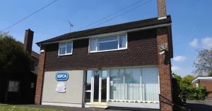 Kent cat rescue site launches £50k bid to prevent closure