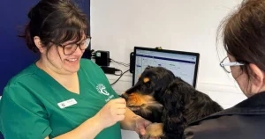 How to set up and lead RVN clinics