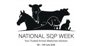 National SQP week toolkit launches