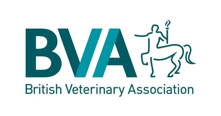 BVA issues workload warning over EU pet travel rule change