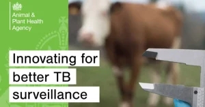 New hope raised for more effective bTB testing