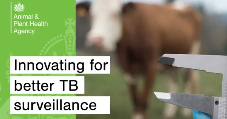New hope raised for more effective bTB testing