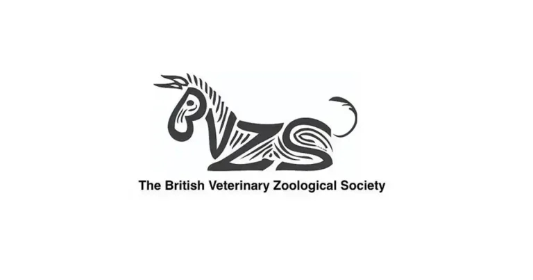 BVZS launches exotic inspector directory