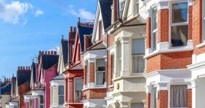 Tenants plan pet applications as renters reforms come into force   