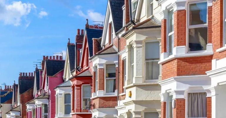 Tenants plan pet applications as renters reforms come into force   