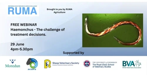 RUMA to chair sheep parasite webinar