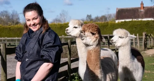 Farm practice launches camelid blood bank service
