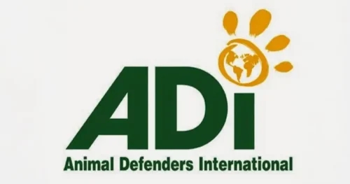 Animal testing action demanded as report reveals species increases