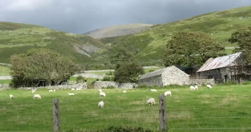 BVA hits out at Welsh farm policy change