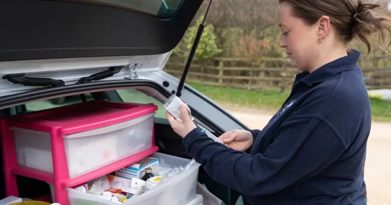 CVS Equine launches nationwide medicines amnesty