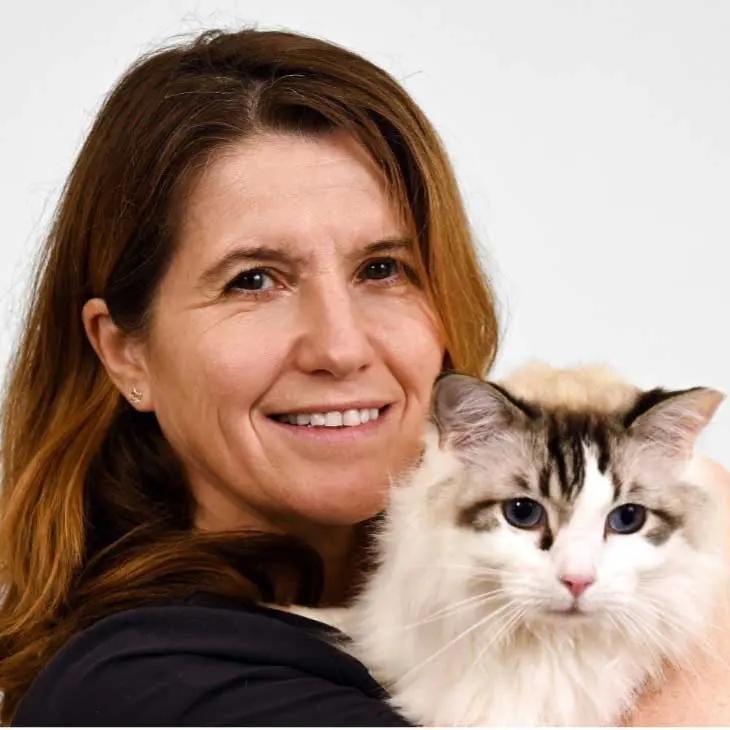 Vet Times Extra: How speaking cat changes care: understanding lifestyle, behaviour, and well-being in the modern cat – with Séverine Tasker