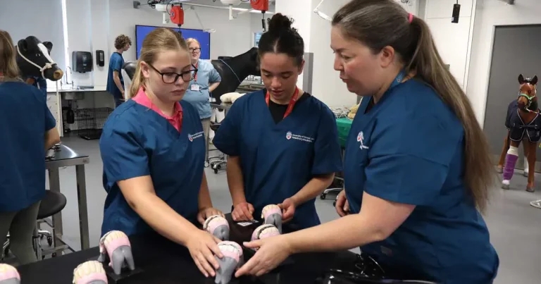 ‘Closed shop’ warning, but vet school applications still rise
