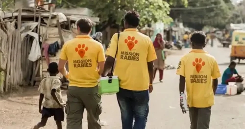 Vet’s plea for rabies awareness as survey reveals public knowledge gaps