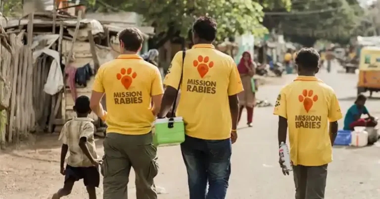 Vet’s plea for rabies awareness as survey reveals public knowledge gaps