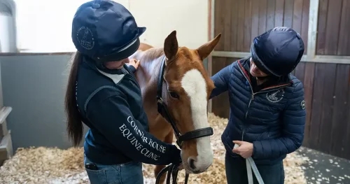 CVS Equine launches asthma QI project