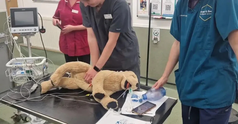 Regional QI project boosts CPR confidence