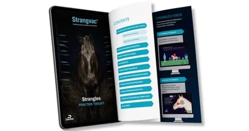 Dechra launches strangles practice toolkit