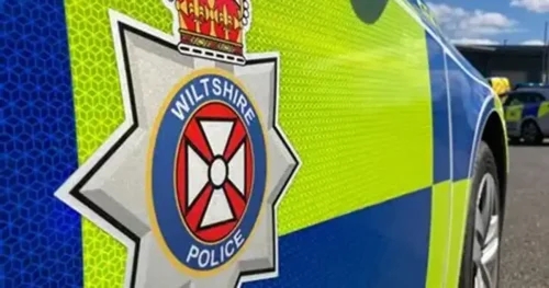 Two police dogs euthanised after contracting Brucella canis