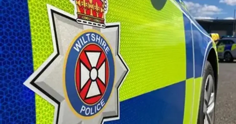 Two police dogs euthanised after contracting Brucella canis