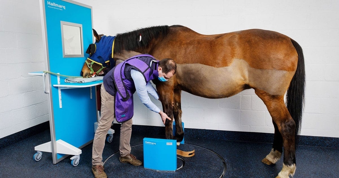 Hallmarq launches standing leg CT system