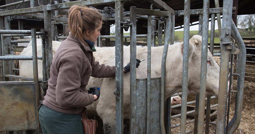 Practices seeking non-vet recruits to keep up with TB test demand