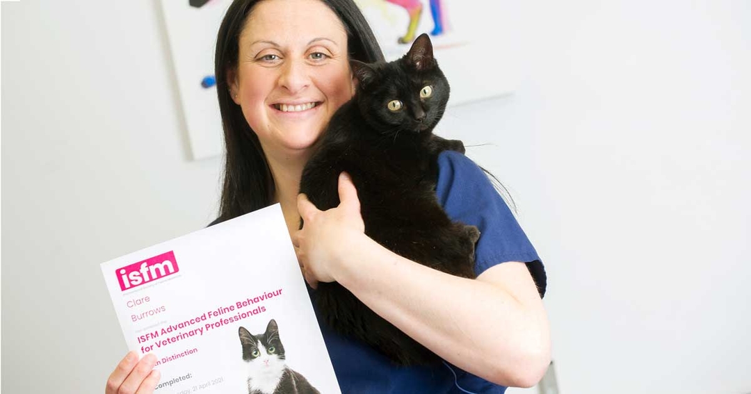 Vet nurse helps keep cats feline fine