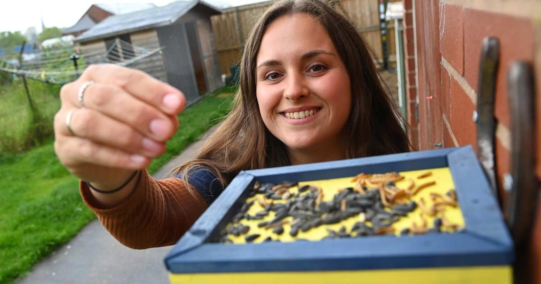 Shropshire vets go green with wildlife garden