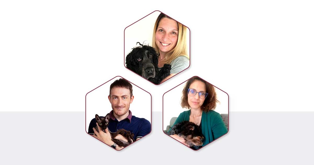 Canine MCT webinar series announced