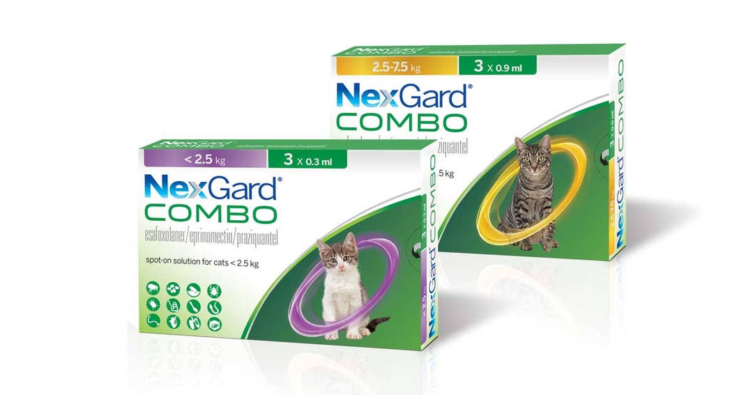 Boehringer launches NexGard COMBO spot-on for cats