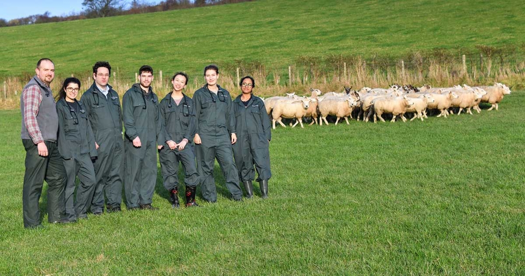 Welsh vet school welcomes its first students