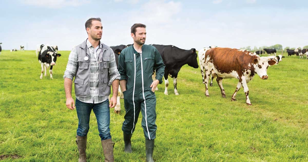 New fact sheet scheme aims to help vets promote sustainable farming