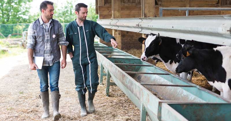 Registration opens to farm vets for sustainability training course