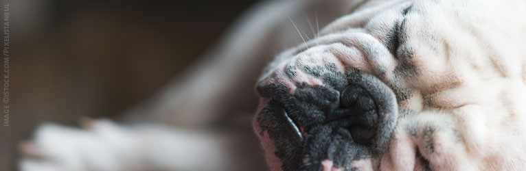 Sleep disorders: differential diagnoses and treatment