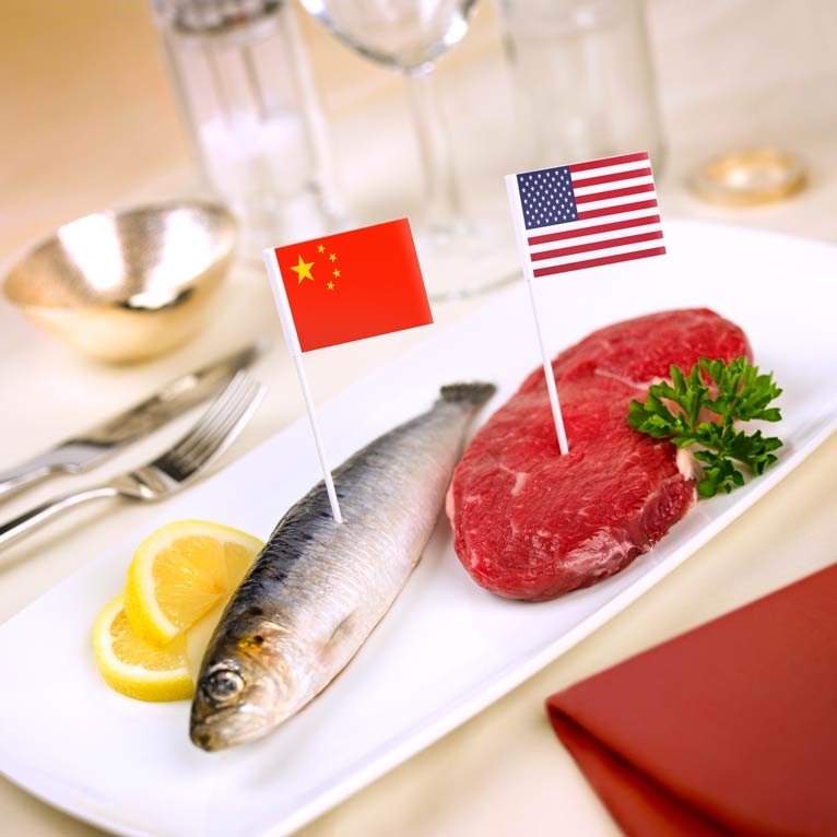 Joined-up thinking for 21st century UK veterinary practices