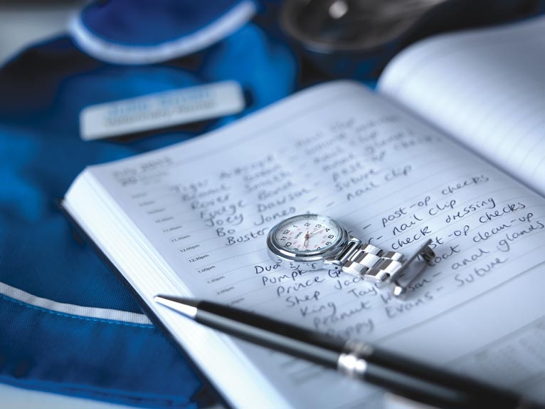 Veterinary nurse consulting – what, why and how?