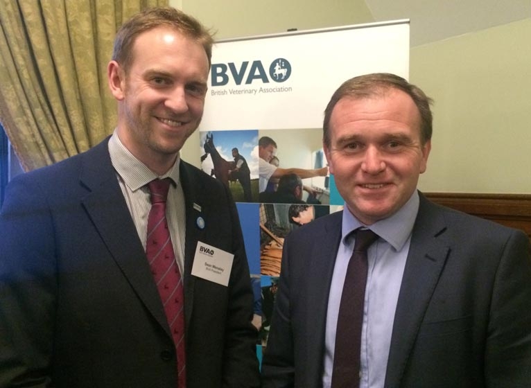 BVA flies flag for veterinary profession with MPs