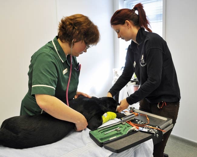 Public does not understand role of RVNs, says survey