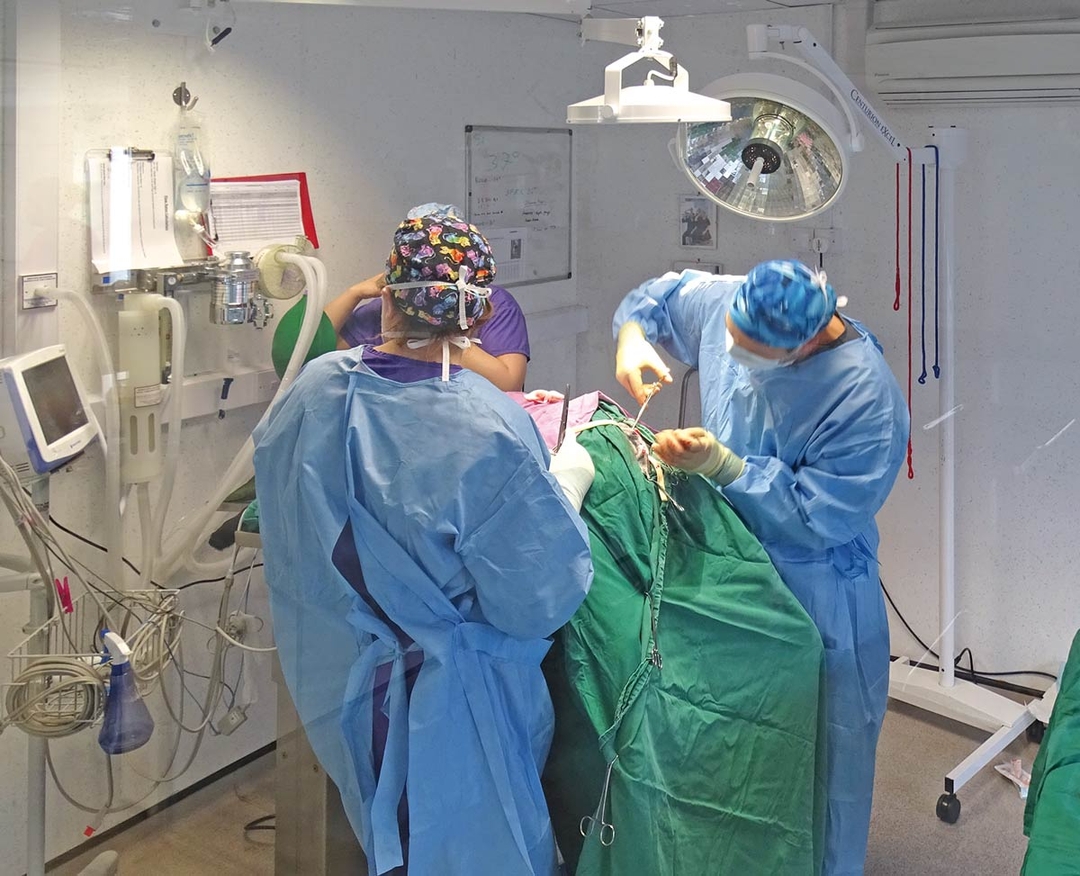 Day in the life of a 24-hour clinic