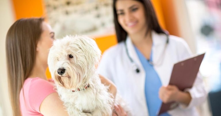 Course to help overseas graduates prepare for UK practice