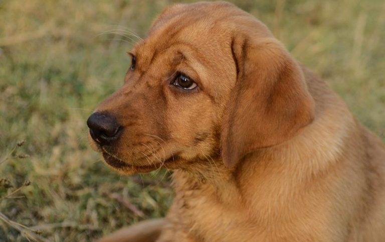 Study into movement disorders