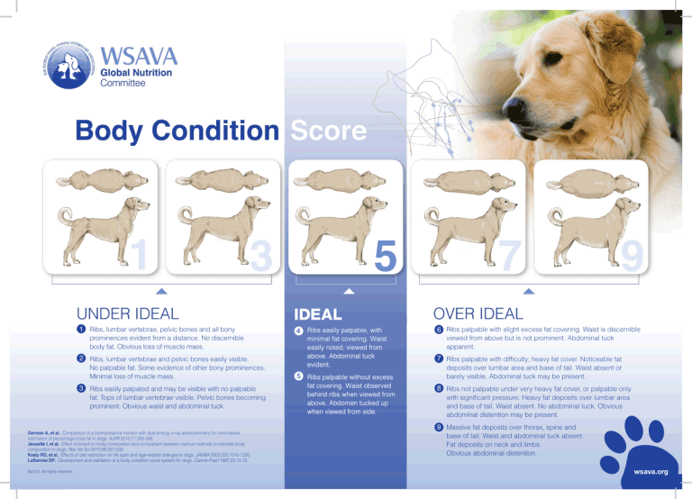 Importance of fibre in diet