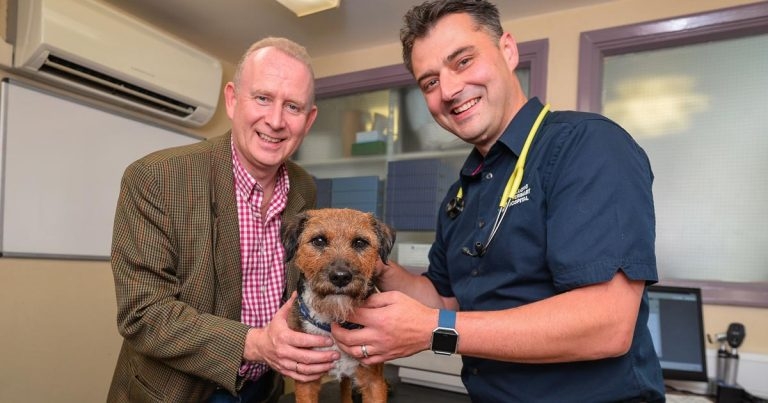 MP’s Alfie discovers what Willows is all about