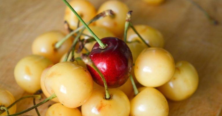 Personal leadership development: does gender make a difference?