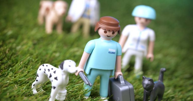 Reap what you sow: nurture your team to deliver maximum yield