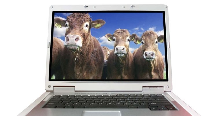 Online congress looks at latest thinking on BVD