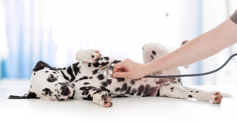 An introduction to problem-based clinical reasoning