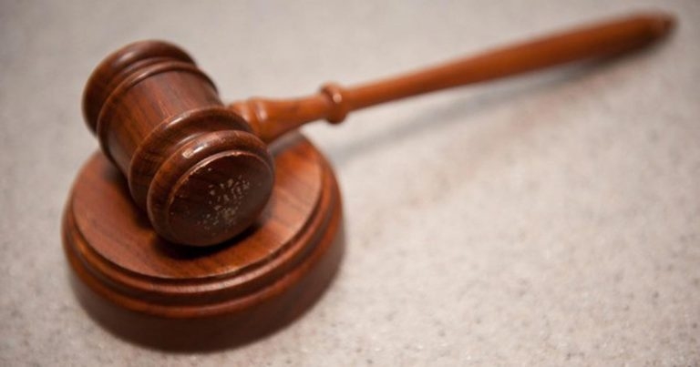 Vet cleared of serious professional misconduct over dog treatment