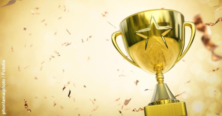 Winners of Vet Wellbeing Awards revealed