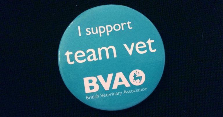 Team Vet campaign launched
